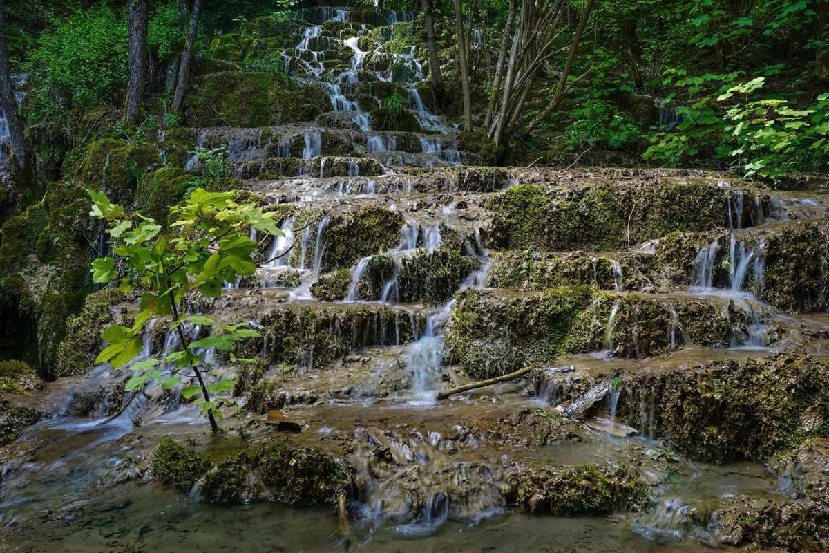 Garni Hotel Mali Predah - Novi Deo Knjazevac Dış mekan fotoğraf